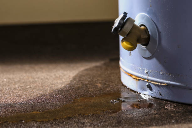 Best Water damage restoration near me  in Oakville, CT