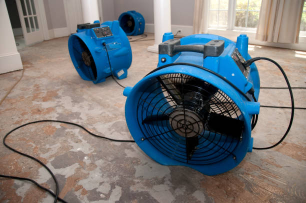 Best Emergency water damage restoration  in Oakville, CT