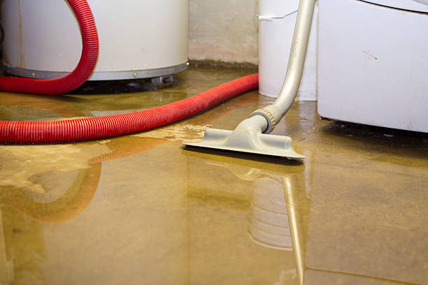 Best Water damage restoration specialists  in Oakville, CT