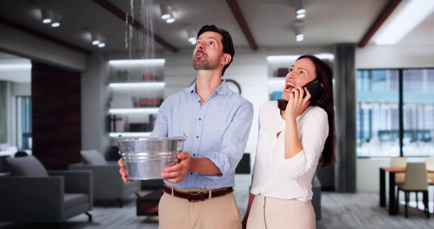 Best Fire Damage Restoration  in Oakville, CT